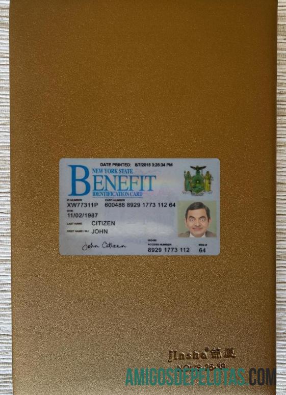 USA New York Benefit ID Card olhar de foto frente amostra